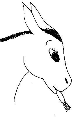 donkey